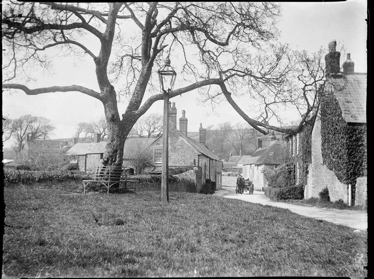 Village Green ، Burton Bradstock ، دورست ، 24 أبريل 1922 - 08 مايو 1922 (b / w photo) بواسطة كاثرين جان ماكفي