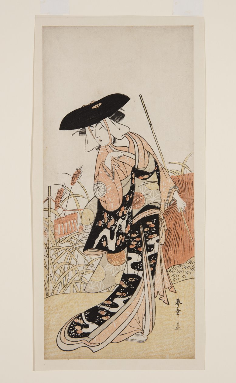 Ac and r Segawa Chrysanthemum Woman Good مثل الثعلب أقحوان (أقحوان - فوكسني) بواسطة كاتسوكاوا شونشو