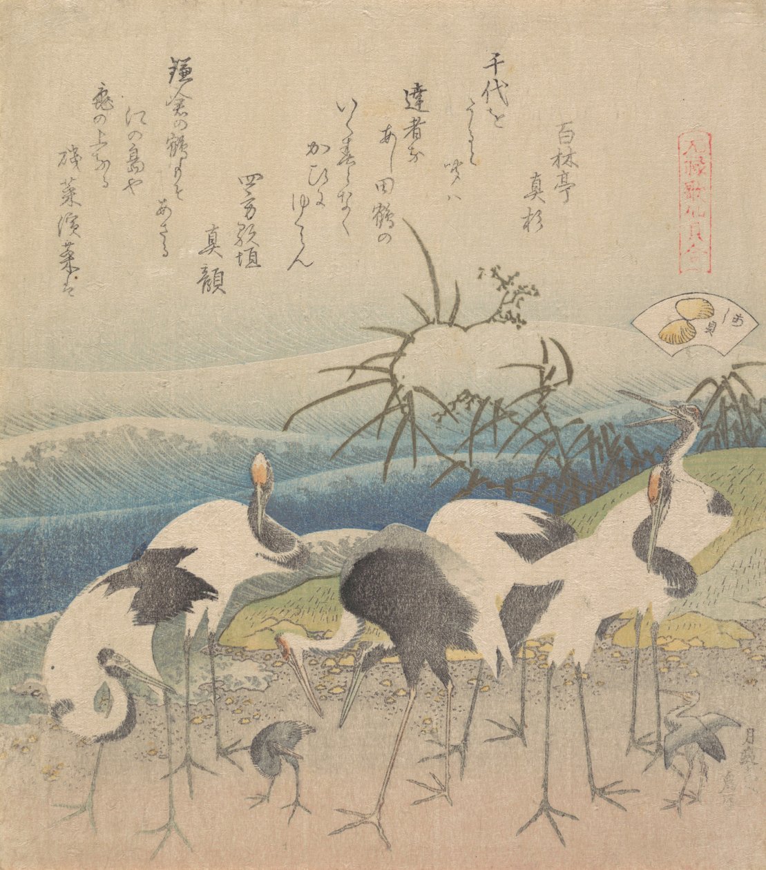 Ashi Clam ، من سلسلة Genroku Kasen Kai-awase ، 1821. بواسطة كاتسوشيكا هوكوساي