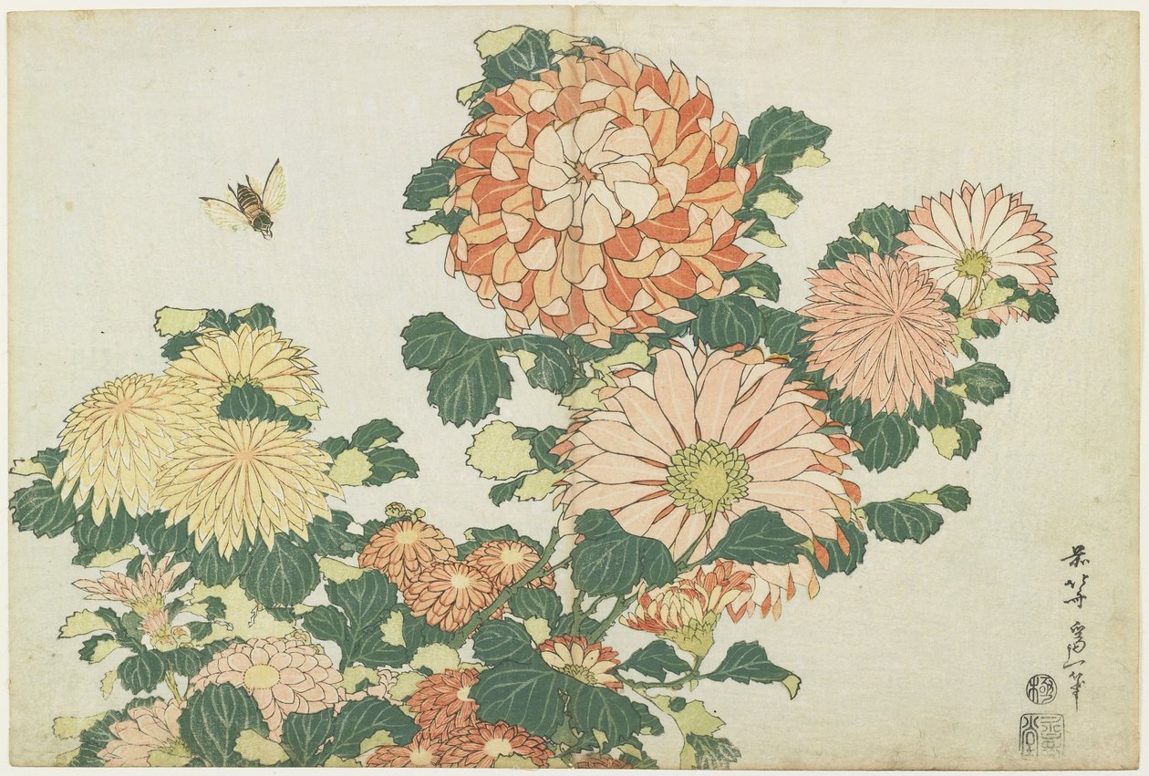 أقحوان و Horsefly ، ج. 1832 بواسطة كاتسوشيكا هوكوساي