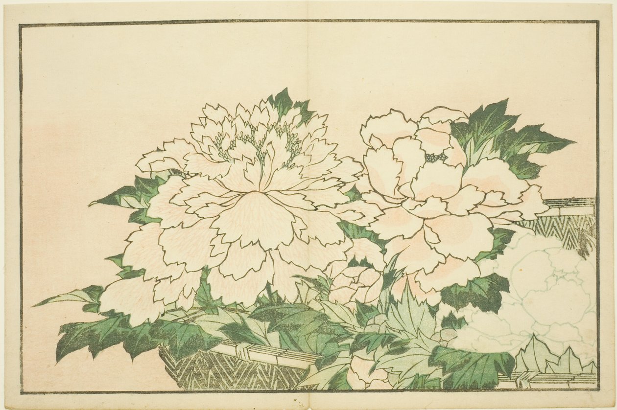 الأقحوان في سلة ، من الكتاب المصور للوحات الواقعية لهوكوساي (Hokusai shashin gafu) بواسطة كاتسوشيكا هوكوساي