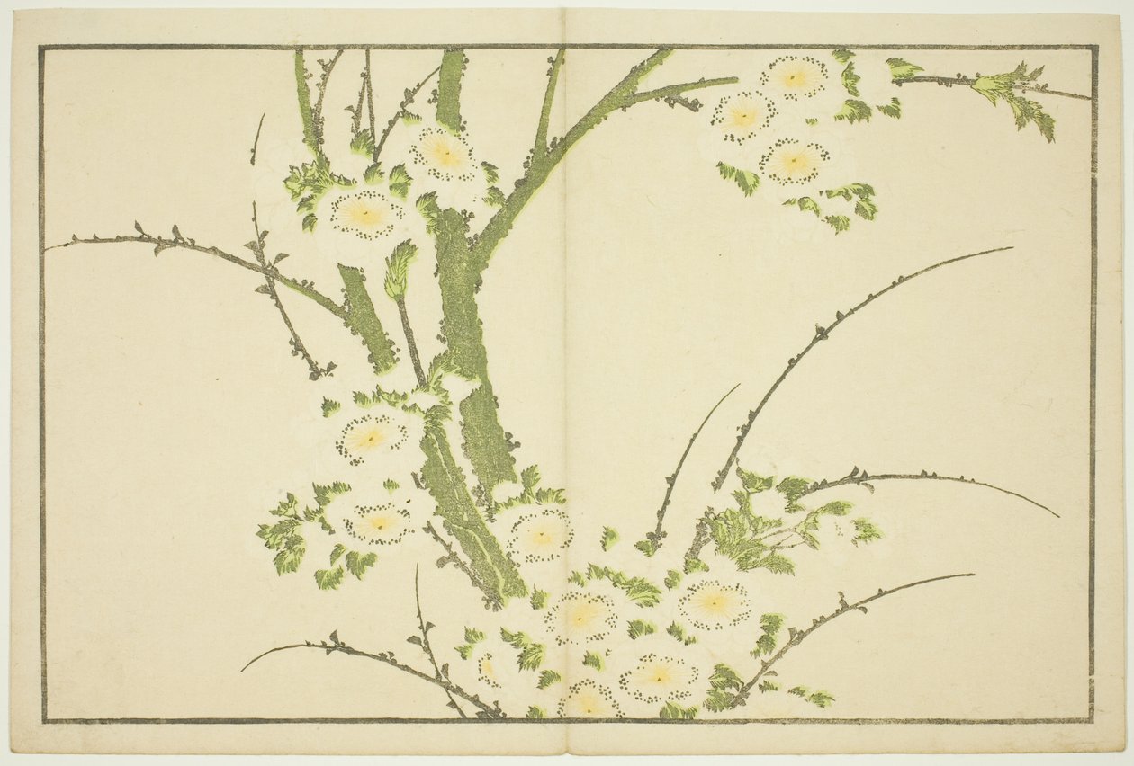 الزهور ، من الكتاب المصور للوحات الواقعية لهوكوساي (Hokusai shashin gafu) بواسطة كاتسوشيكا هوكوساي