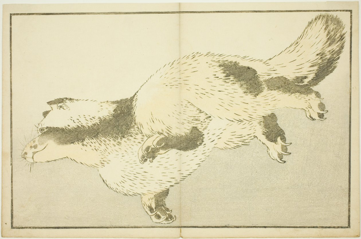 فوكس ، من الكتاب المصور للوحات الواقعية لهوكوساي (Hokusai shashin gafu) بواسطة كاتسوشيكا هوكوساي
