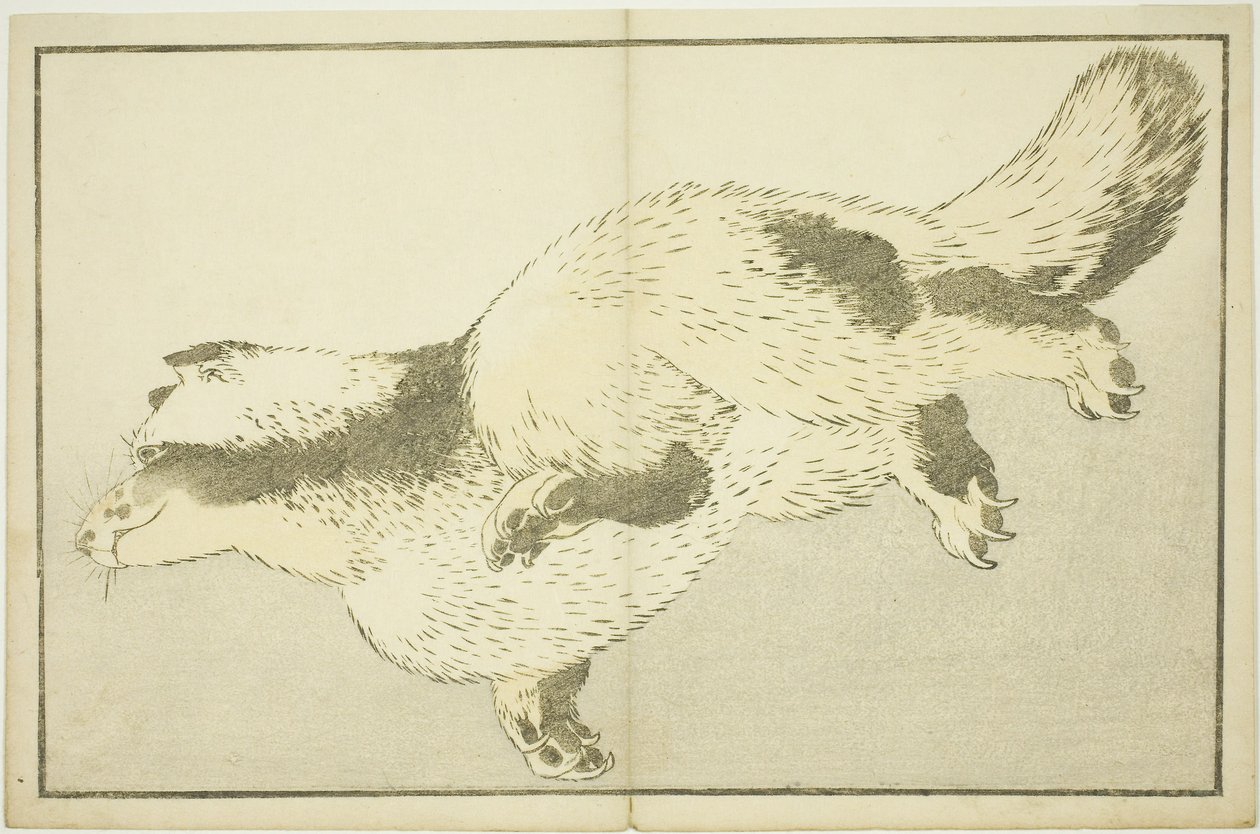 فوكس ، من الكتاب المصور للوحات الواقعية لهوكوساي (Hokusai shashin gafu) بواسطة كاتسوشيكا هوكوساي