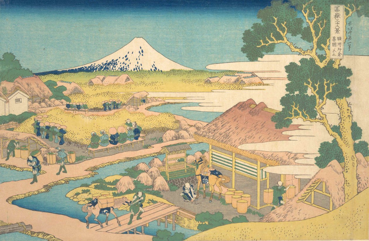فوجي من حقول شاي كاتاكورا في سوروجا سونشو كاتاكورا تشين نو فوجي ، من ... ، حوالي 1830-1832. بواسطة كاتسوشيكا هوكوساي