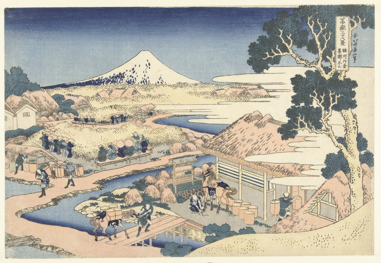 فوجي من مزرعة شاي كاتاكورا في مقاطعة سوروجا Sunshu Katakura chaen no Fuji (العنوان على الكائن) 36 مشاهد لجبل فوجي (عنوان السلسلة) Fugaku Sanjurokkei (عنوان المسلسل على الكائن) بواسطة كاتسوشيكا هوكوساي