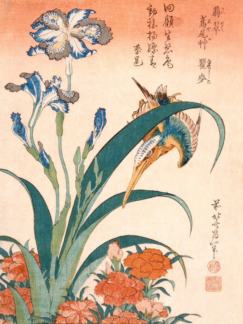 Kingfisher، Irises and Pinks ، نُشر عام 1834. بواسطة كاتسوشيكا هوكوساي