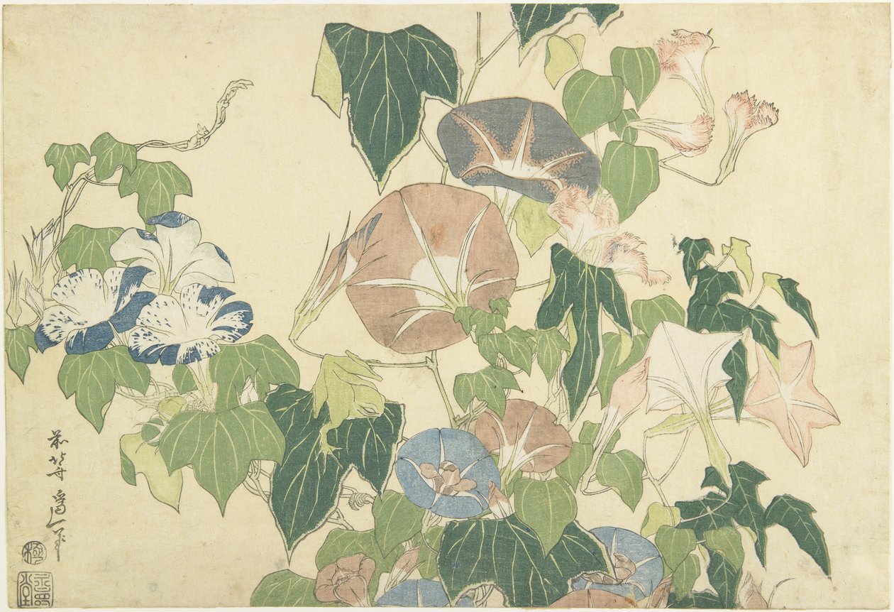 مورنينج جلوريز وشجرة الضفدع ، من سلسلة بلا عنوان تعرف باسم زهور كبيرة ، c.1833-34 (طباعة لوح خشبي ملون) بواسطة كاتسوشيكا هوكوساي
