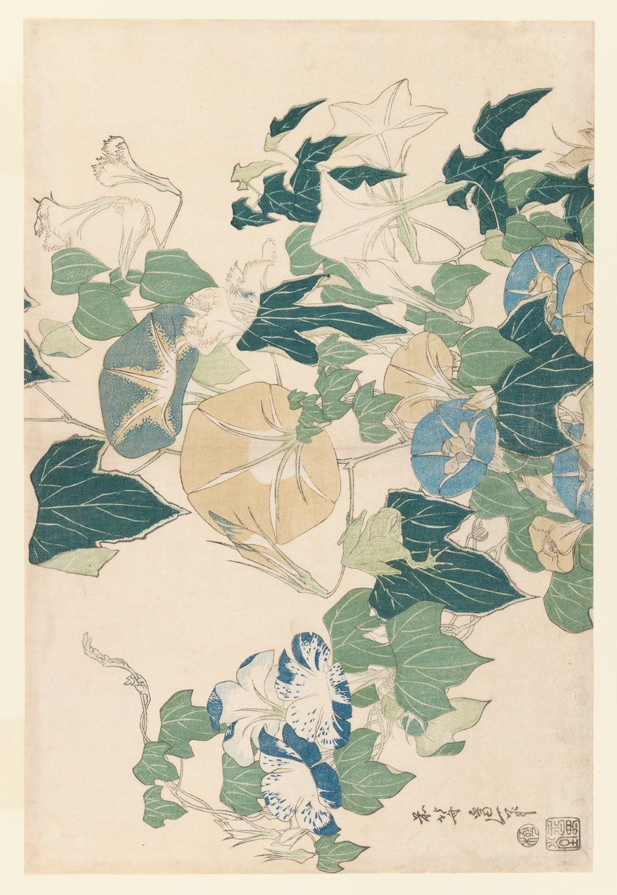 أمجاد الصباح في الزهور والبراعم ، c.1830 (طباعة كتلة خشبية ملونة) بواسطة كاتسوشيكا هوكوساي