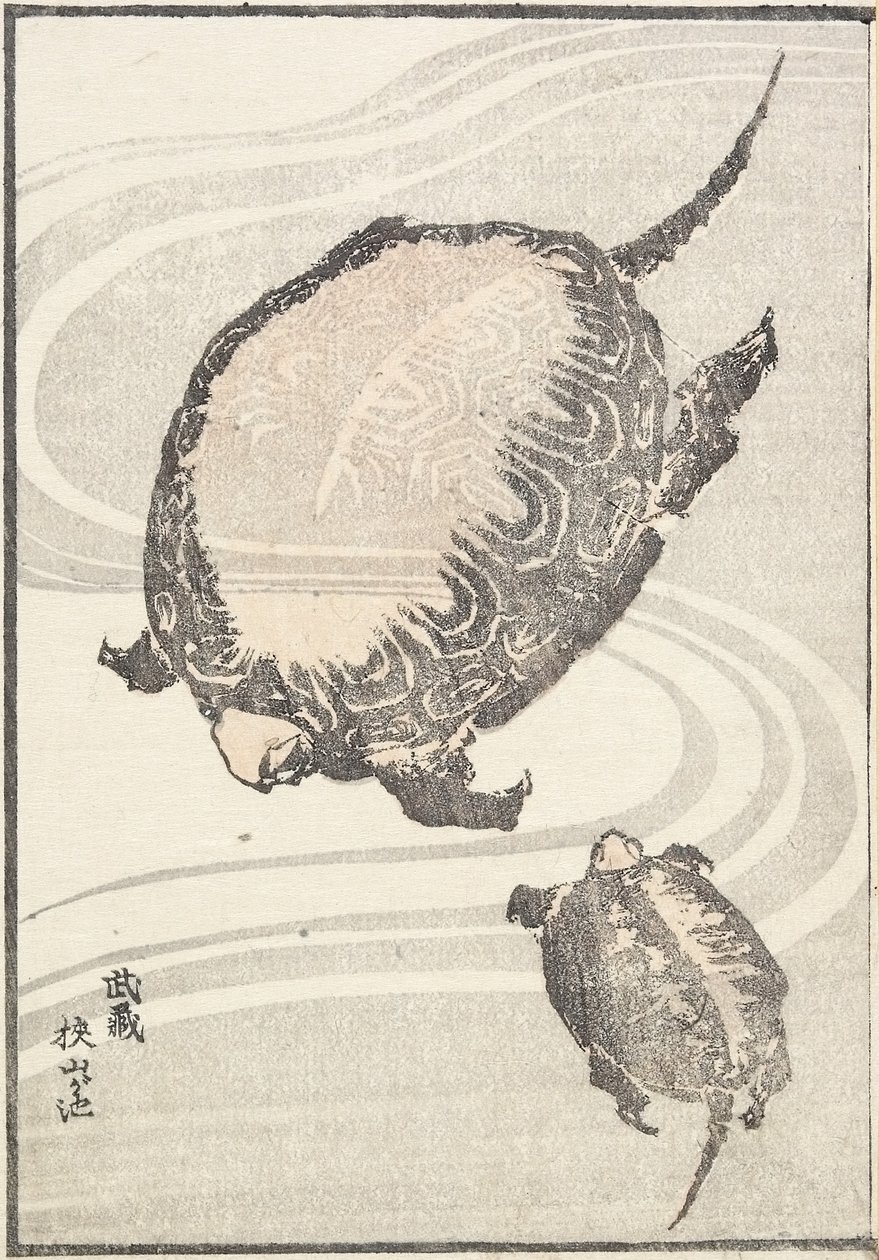 Sayama-ga-ike Pond في مقاطعة موساشي ، 1817 بواسطة كاتسوشيكا هوكوساي
