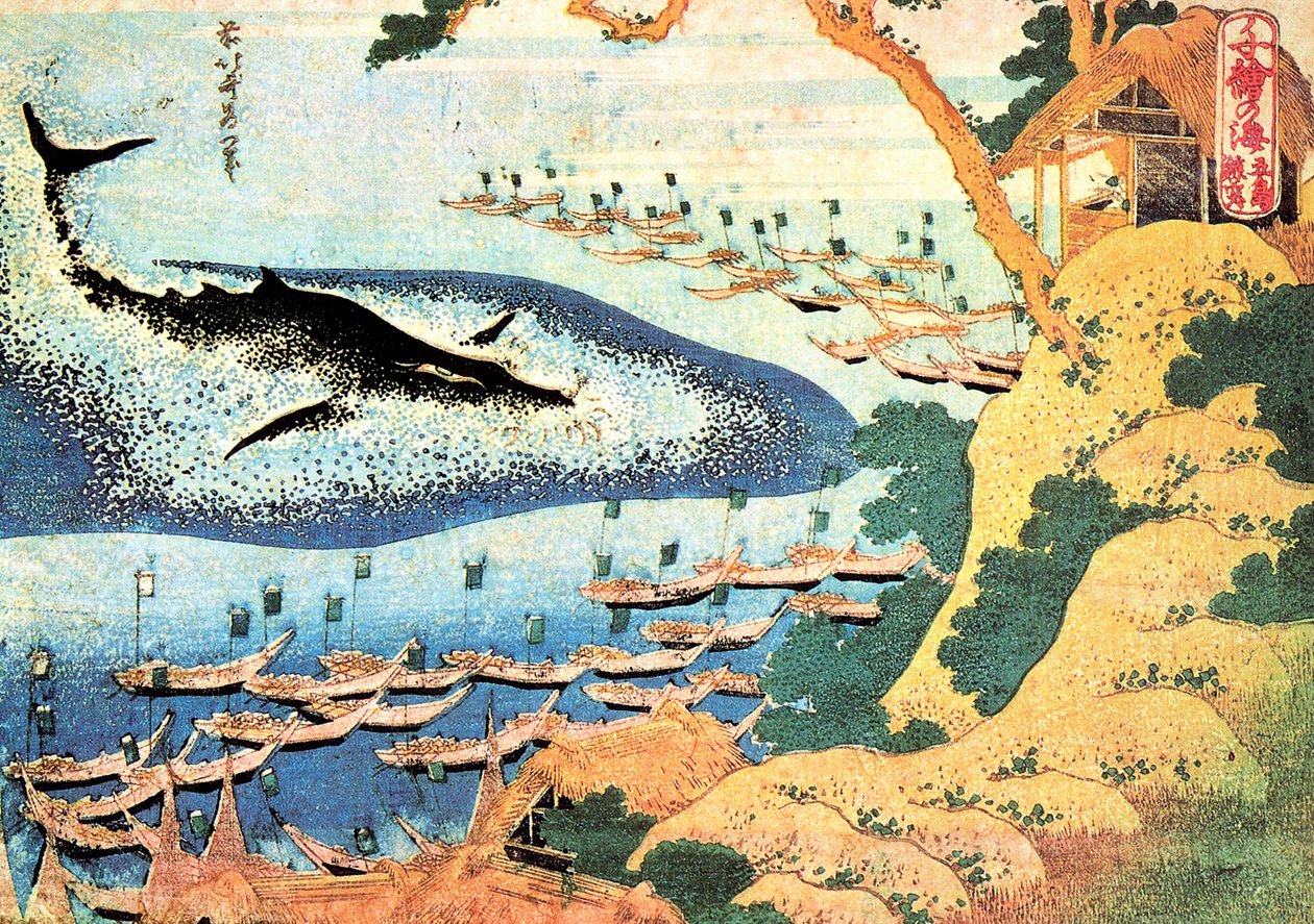 سلسلة من ألف منظر للمحيط: الحوت قبالة جزر جوتو ، اليابان - طباعة كاتسوشيكا هوكوساي (1760-1849) (مدرسة أوكييو إي) 1830-1833 متحف بوشكين للفنون الجميلة ، موسكو بواسطة كاتسوشيكا هوكوساي