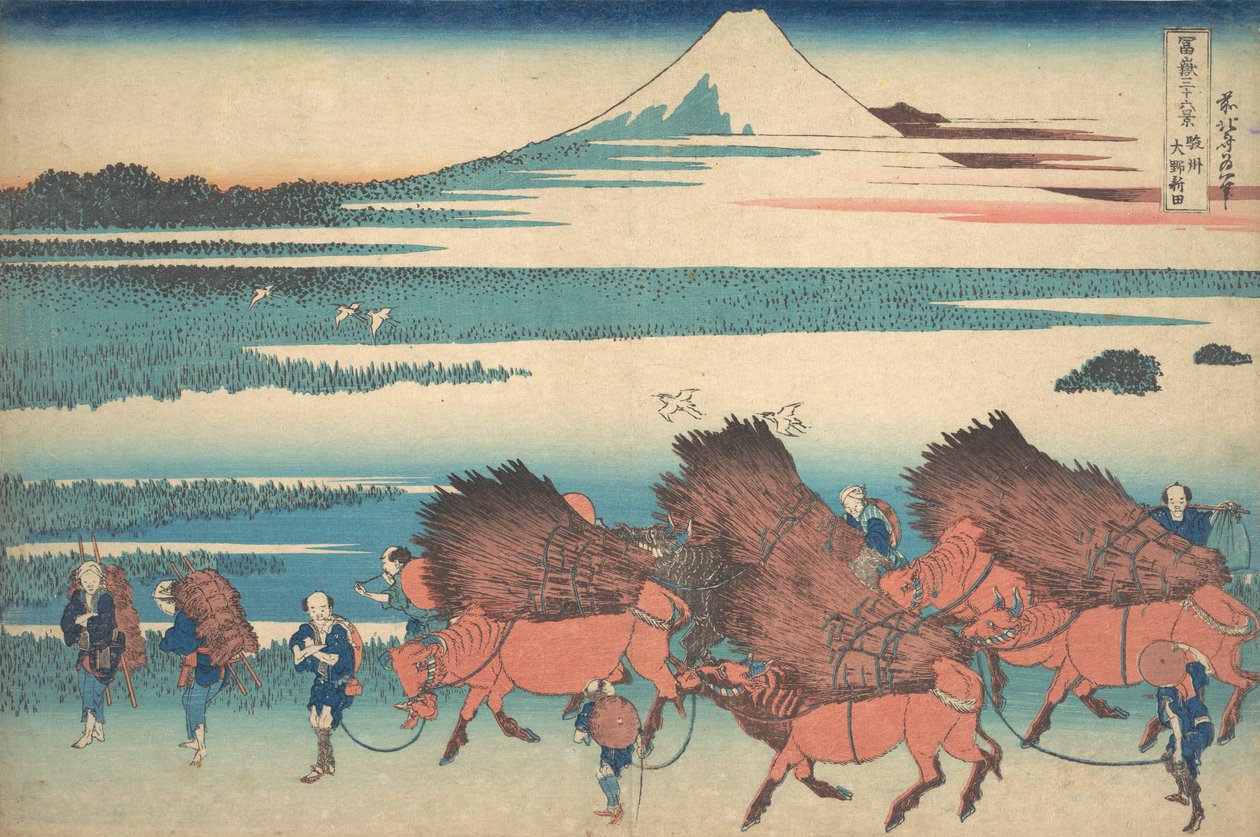 الحقول الجديدة في Ono في مقاطعة Suruga Sunshu Ono shinden ، من سلسلة Thir ... ، كاليفورنيا. 1830-32. بواسطة كاتسوشيكا هوكوساي