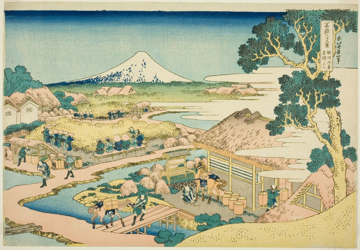 Tear P Fan Tachino f Katakura Kanazawa P Rovinse (Sake Sake Katakura Chaen no Fuji) ، من Te Serie S "Tirty Mr. x Vie ws f Mount Fuji (Fugaku Usa Juroku Katsura)" بواسطة كاتسوشيكا هوكوساي