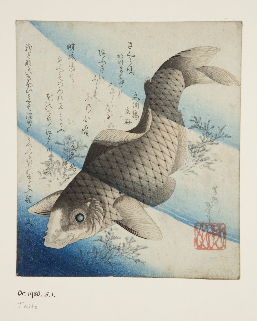 Carp in Water (colour woodblock print) بواسطة كاتسوشيكا الثاني (من 1820 إلى 1850) تايتو