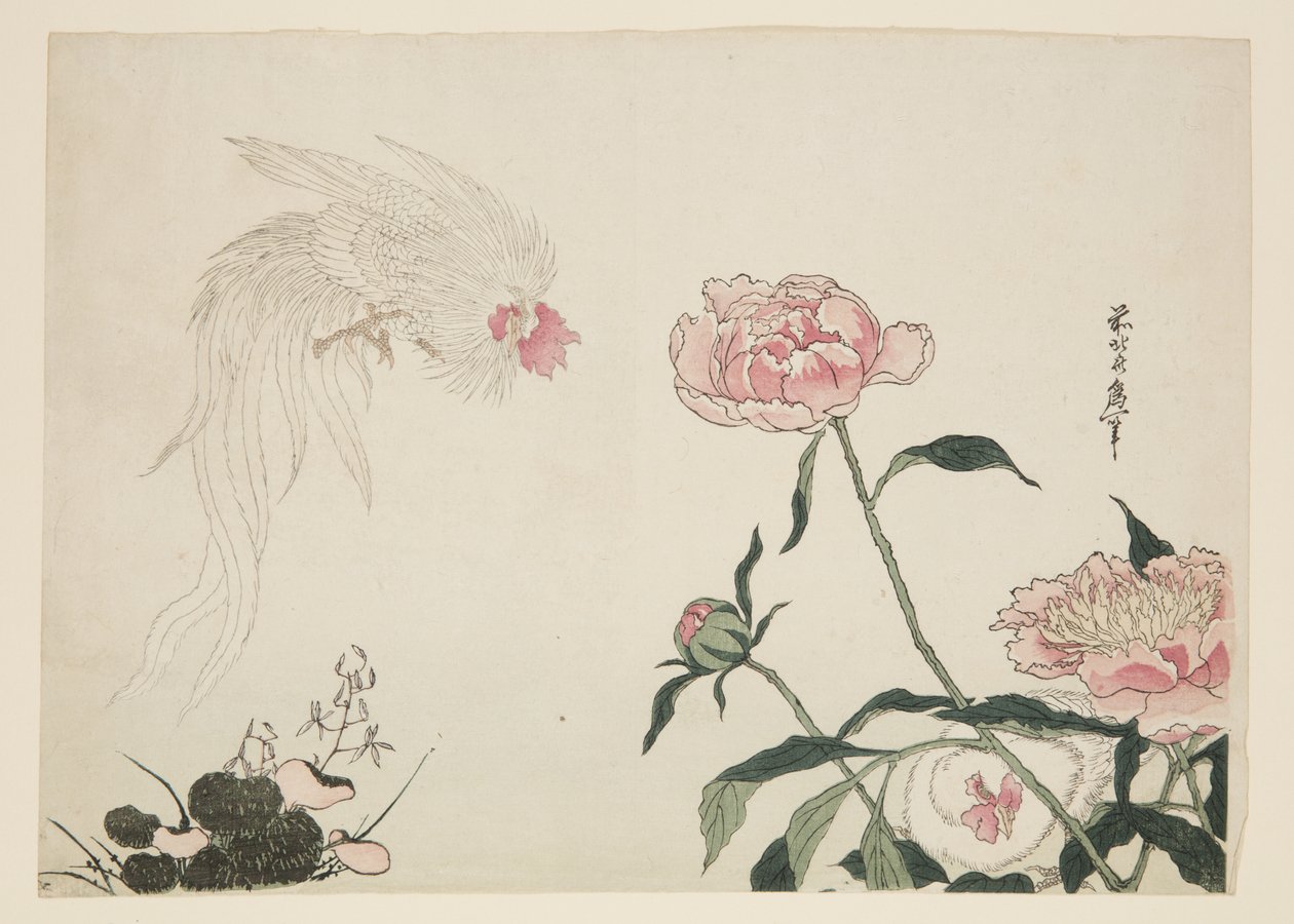 Long Tail Roosters among Flowers (colour woodblock print) بواسطة كاتسوشيكا الثاني (من 1820 إلى 1850) تايتو