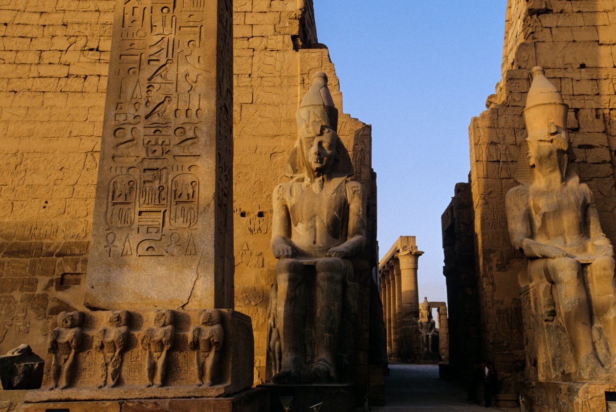  بواسطة كينيث جاريت