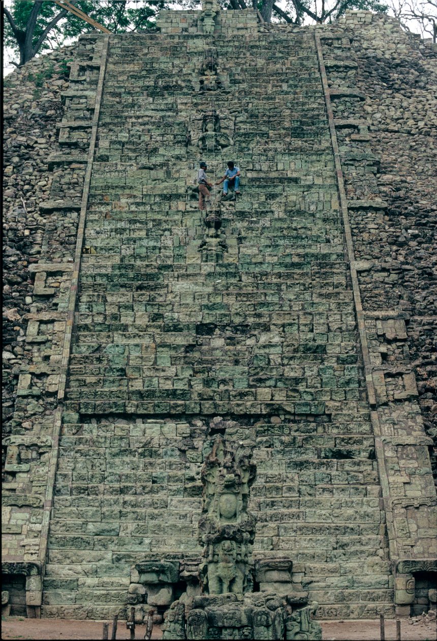 بواسطة كينيث جاريت