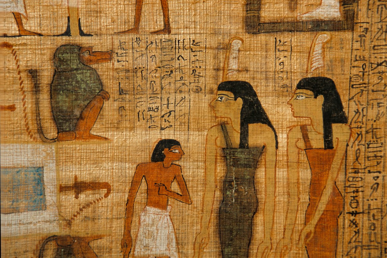 بواسطة كينيث جاريت