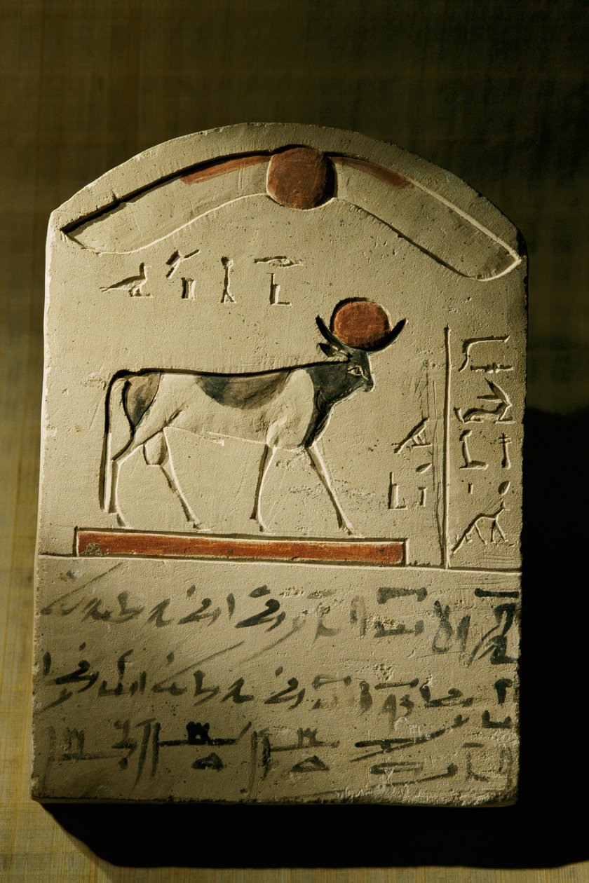  بواسطة كينيث جاريت