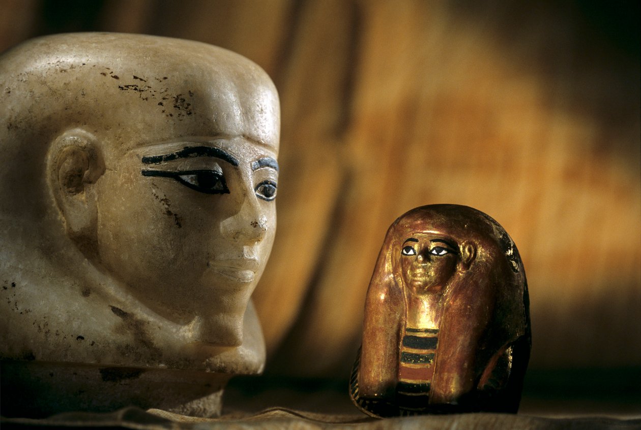  بواسطة كينيث جاريت