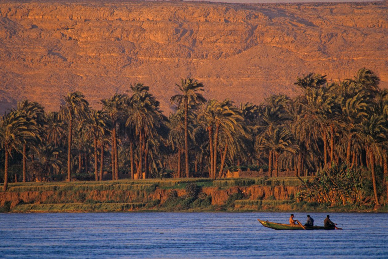  بواسطة كينيث جاريت