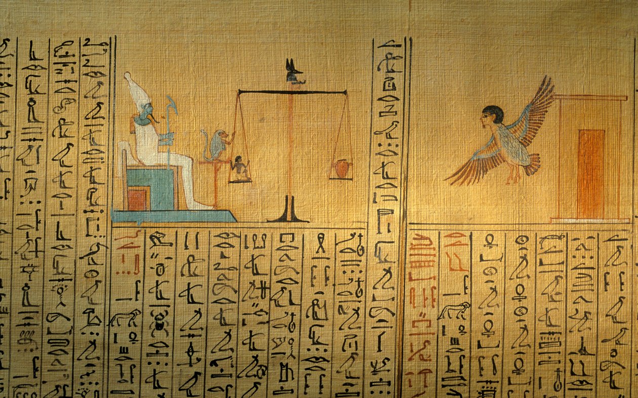  بواسطة كينيث جاريت