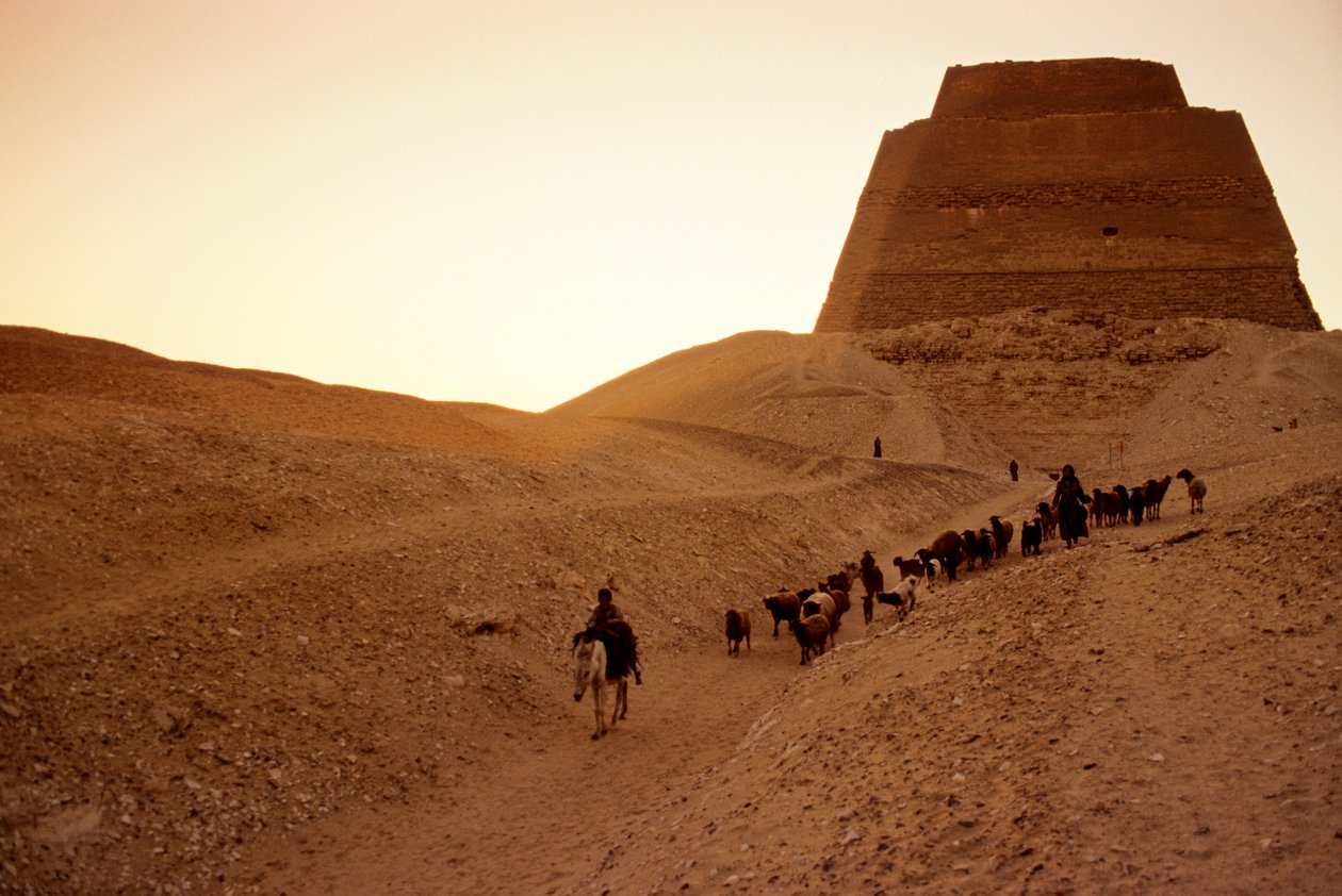  بواسطة كينيث جاريت