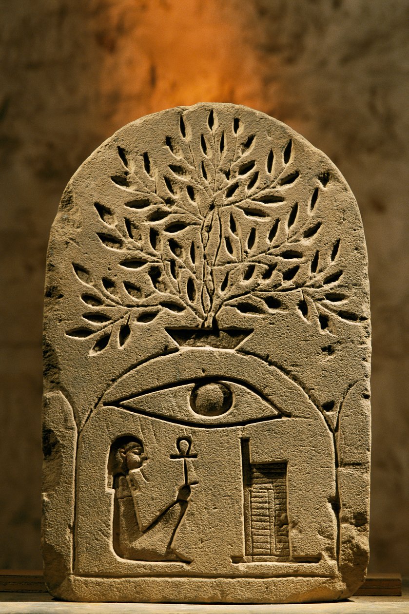  بواسطة كينيث جاريت