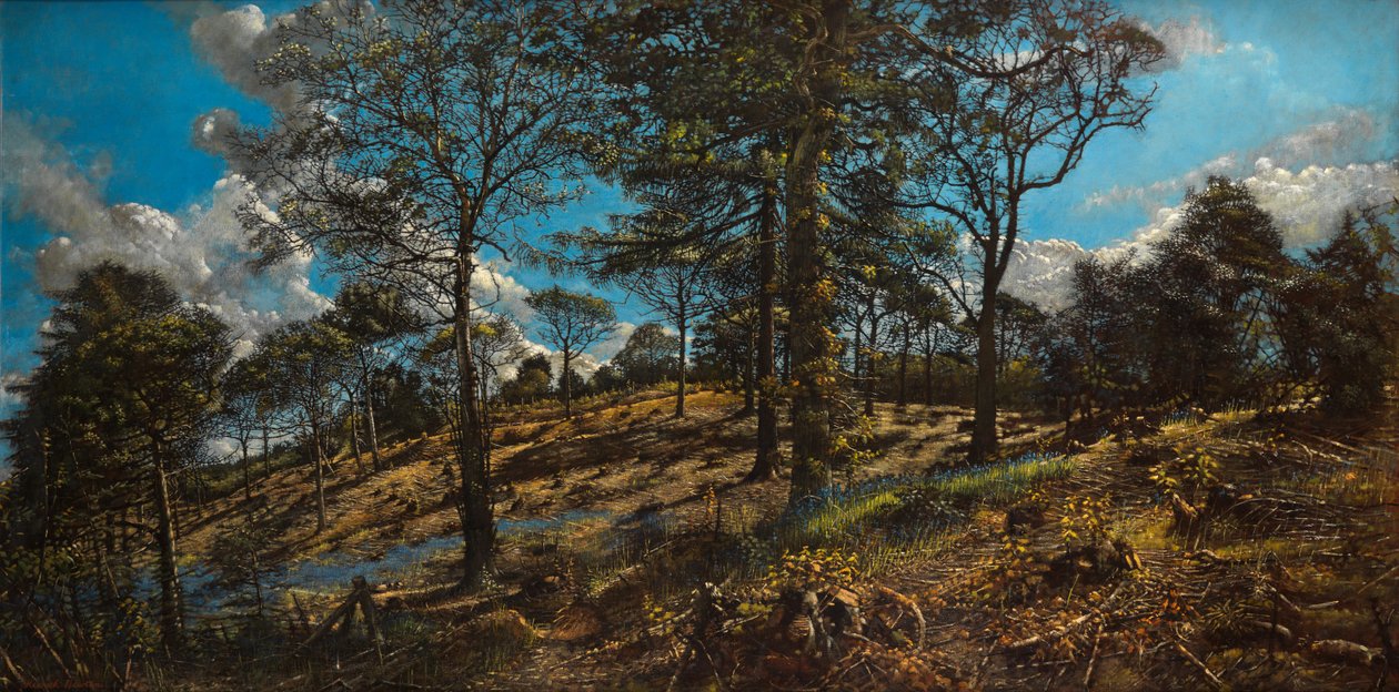 Bigbury Wood (زيت على قماش) بواسطة كينيث نيوتن