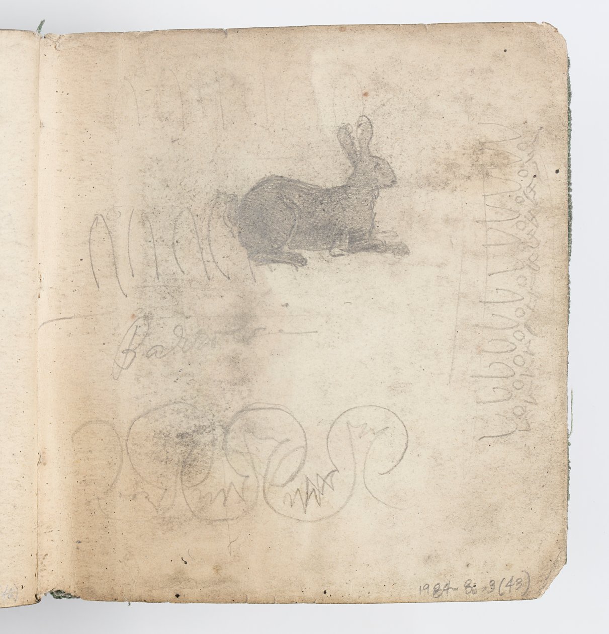 صفحة كراسة الرسم: Sketch of Rabbit بواسطة كينيون كوكس