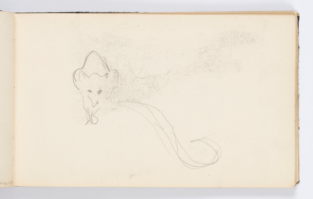 صفحة كراسة الرسم: Sketch of a Genet بواسطة كينيون كوكس
