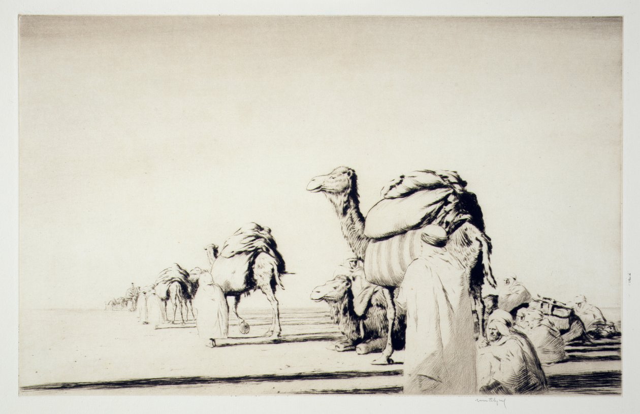  بواسطة كير إيبي