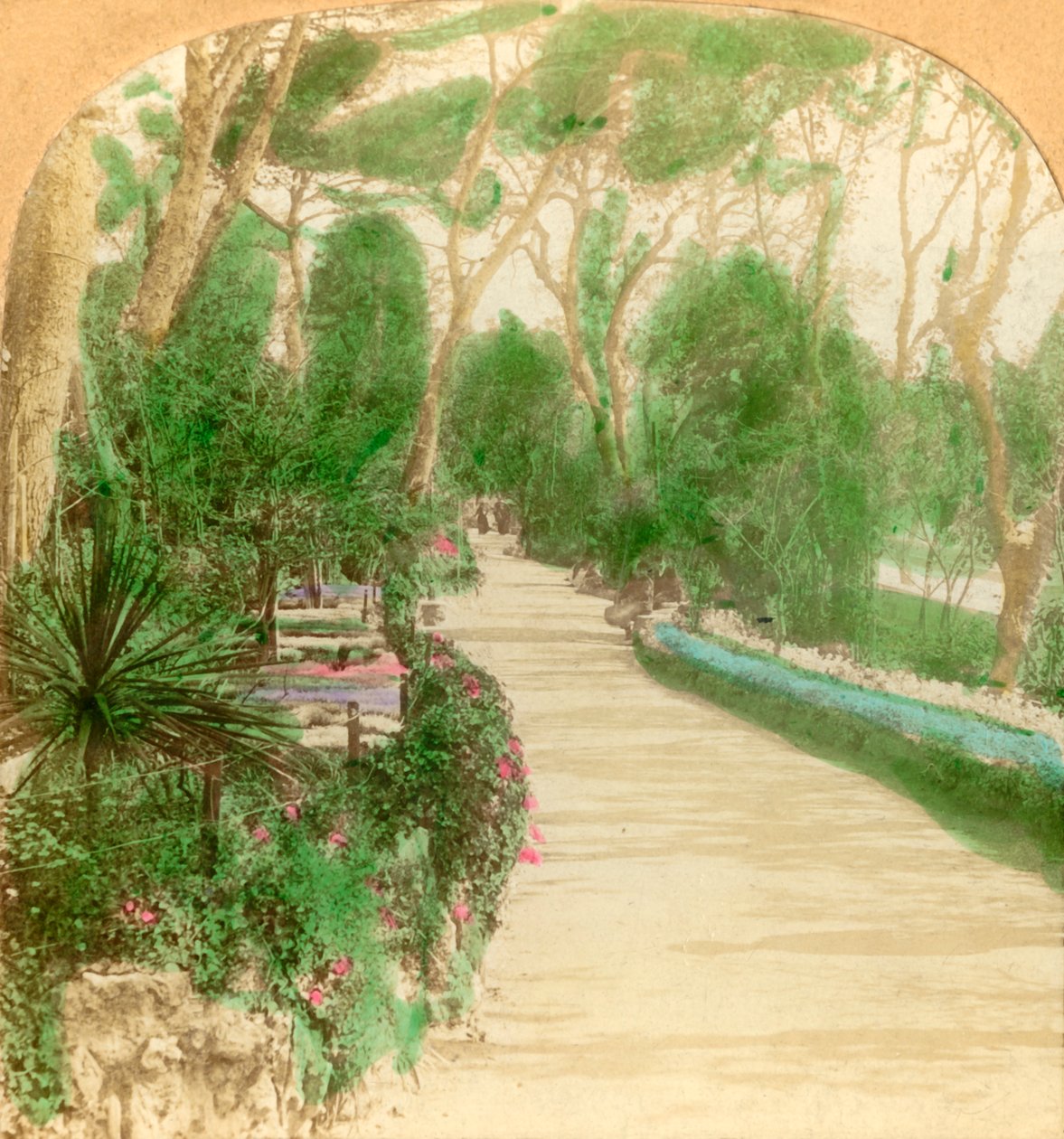 منتزه ، حديقة ألاميدا ، صخرة جبل طارق ، 1896. بواسطة شركة كيستون فيو