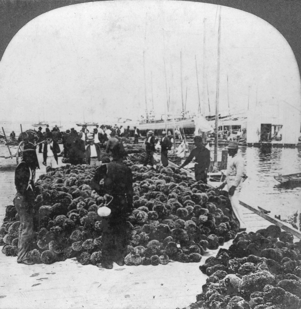 سوق الإسفنج ، ميناء كي ويست ، فلوريدا ، الولايات المتحدة الأمريكية ، c1900 بواسطة شركة كيستون فيو