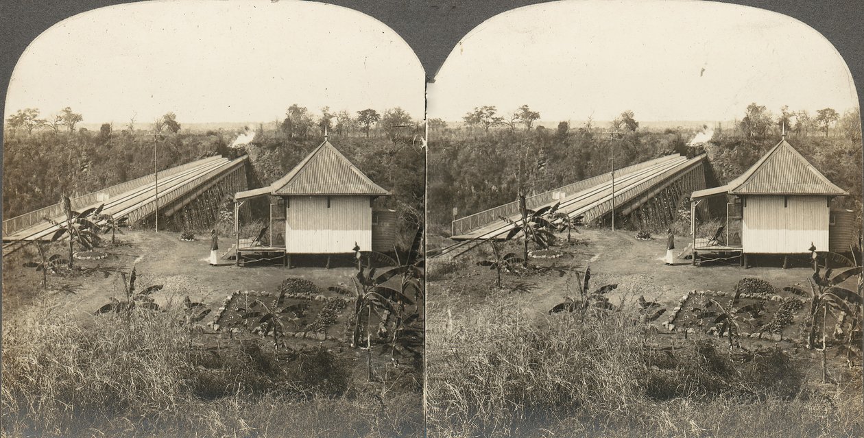 مجموعة من 14 صورة مجسمة لأفريقيا والممثلين ، 1850-1910. بواسطة كيلبورن براذرز