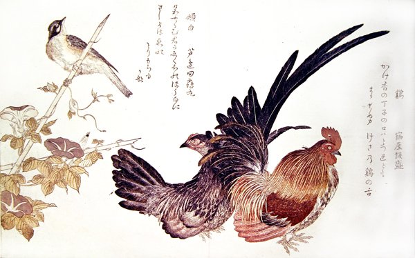دجاجة وديك محليان ورايات يابانية على براعم الخيزران ، حوالي 1791 (طباعة خشبية ملونة) بواسطة كيتاجاوا أوتامارو