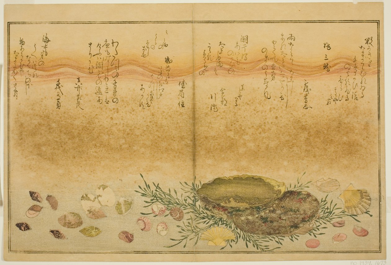 Chidori-gai و itaya-gai و awabi و utsuse-gai و asari-gai و monoara-gai ، من الكتاب المصور "هدايا من إيب تايد (Shiohi no tsuto)" بواسطة كيتاجاوا أوتامارو