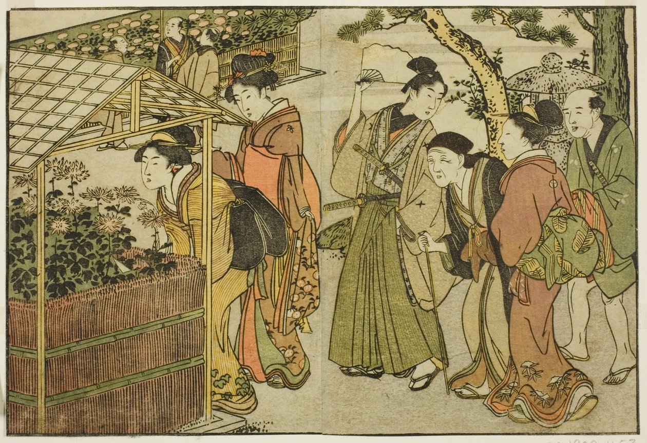 عرض الأقحوان ، من الكتاب المصور "كتاب مصور: زهور الفصول الأربعة (Ehon shiki no hana) ،" المجلد. 2 بواسطة كيتاجاوا أوتامارو