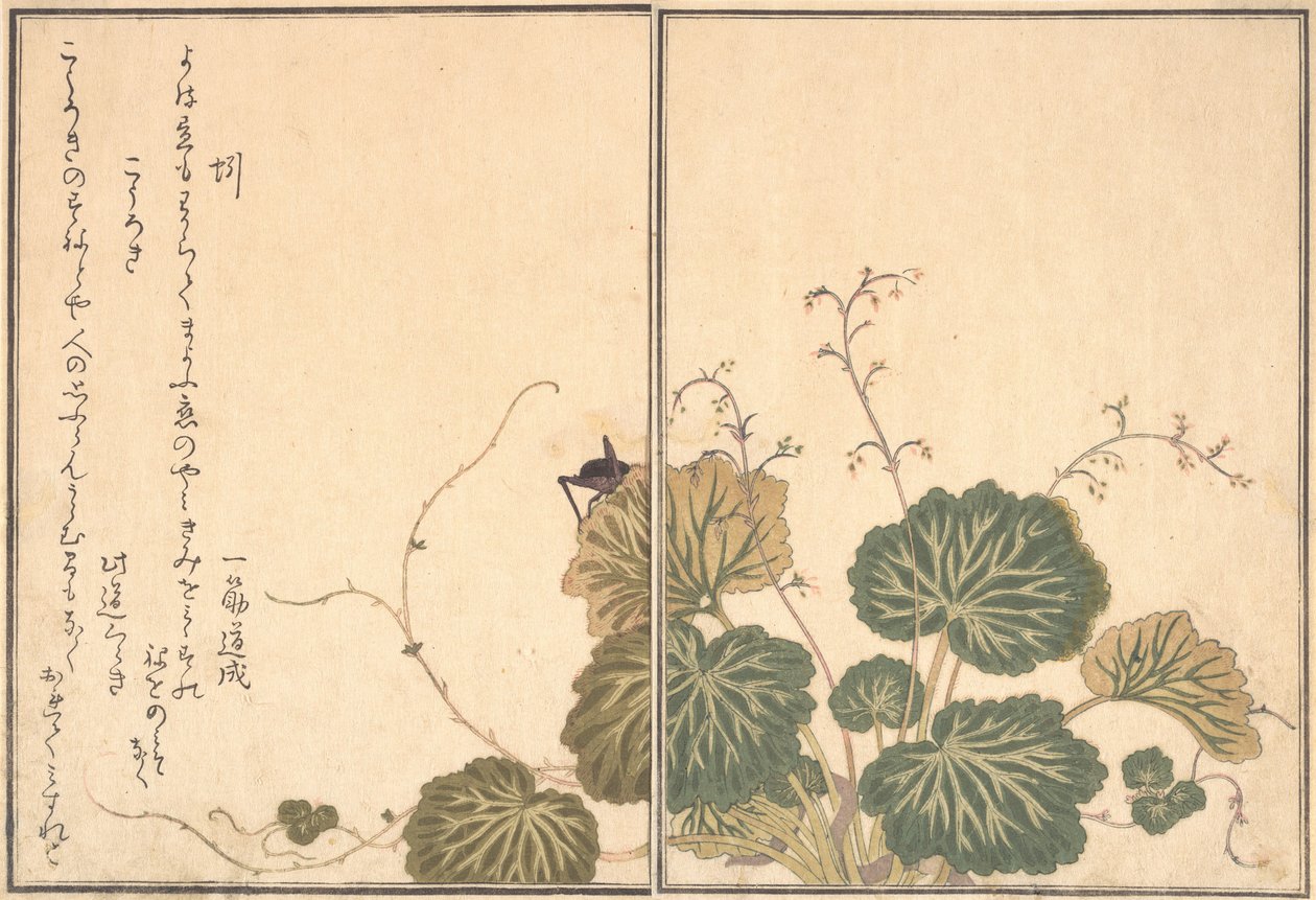 دودة الأرض ميميزو ، كريكيت كوروغي ... ، 1788. بواسطة كيتاجاوا أوتامارو