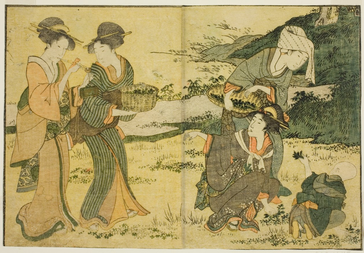 Gathering Spring Herbs ، من الكتاب المصور "Picture Book: Flowers of the Four Seasons (Ehon shiki no hana) ،" المجلد. 1 بواسطة كيتاجاوا أوتامارو