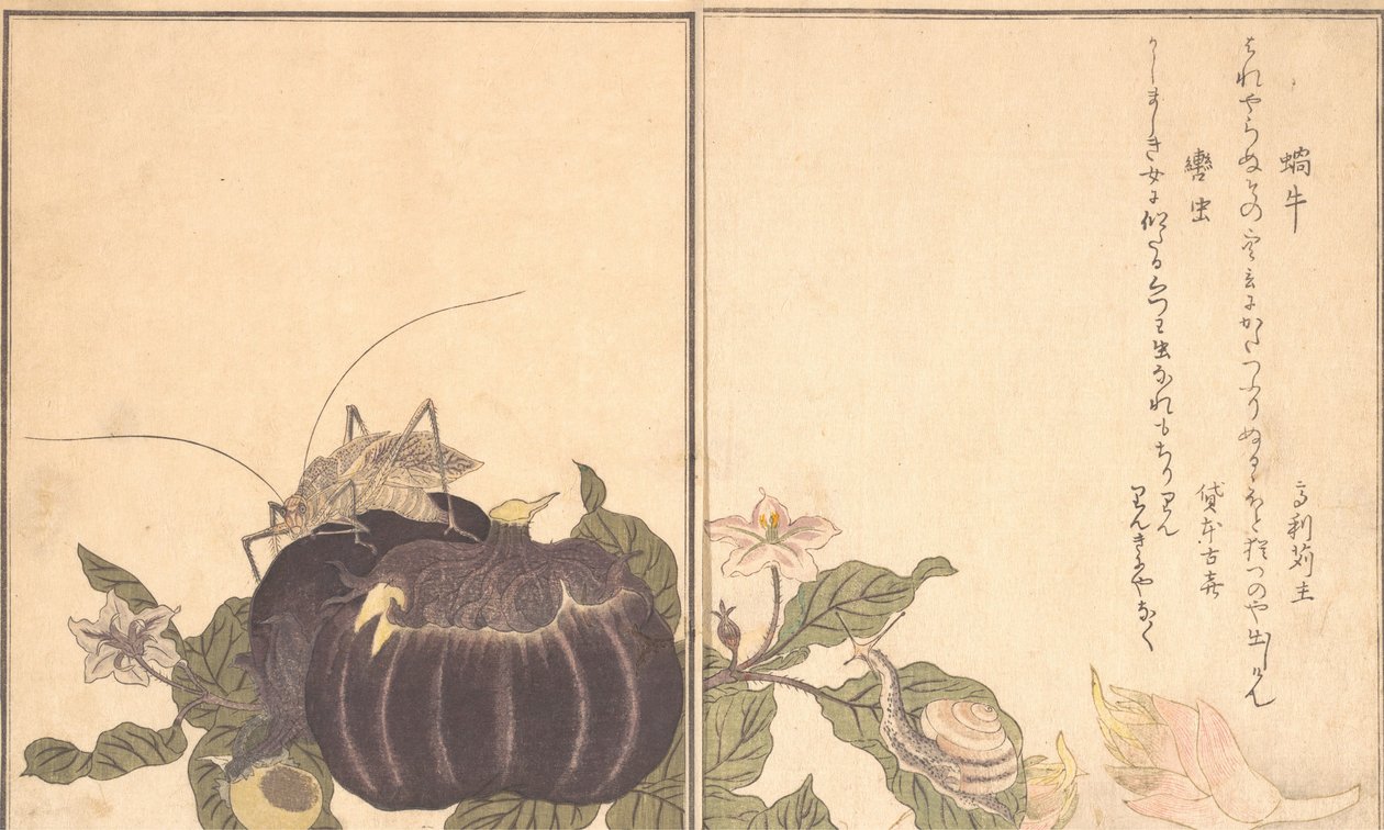 Land Snail Katatsumuri ، Giant Katydid Kutsuwamushi ... ، 1788. بواسطة كيتاجاوا أوتامارو