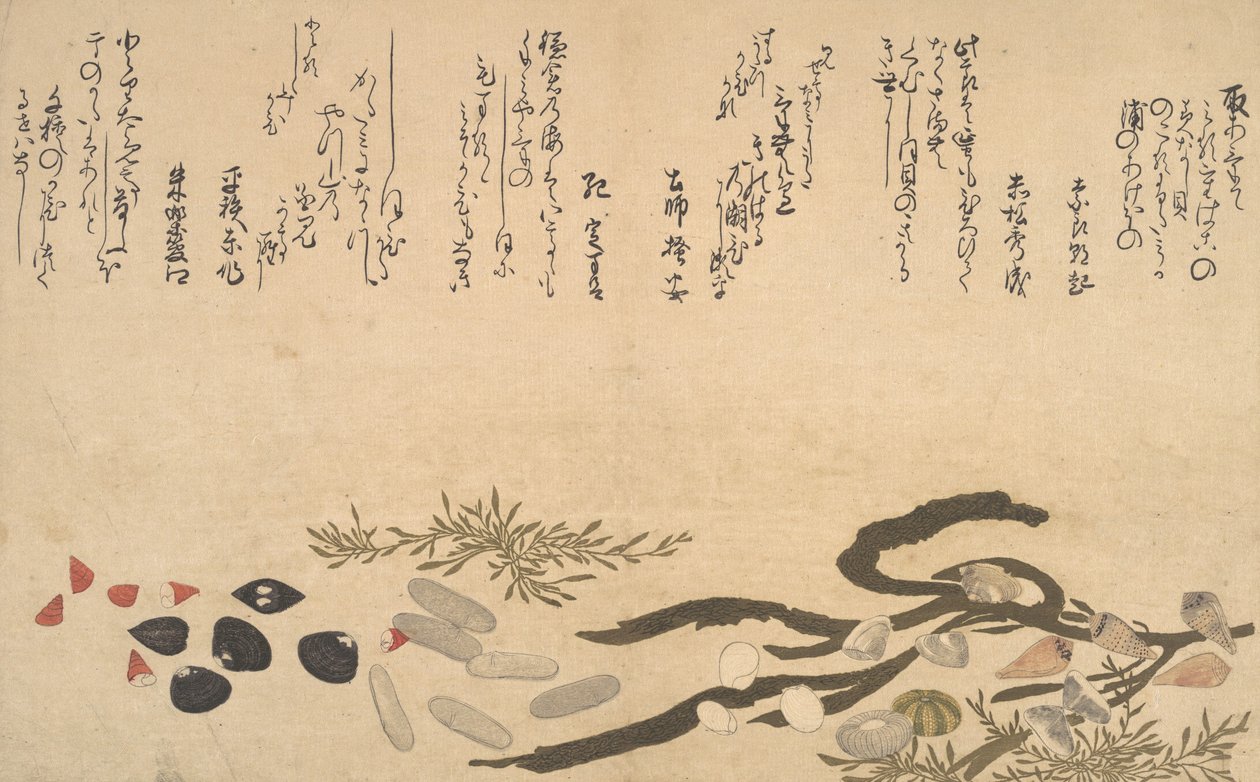 قذائف تحت الماء 1790. بواسطة كيتاجاوا أوتامارو