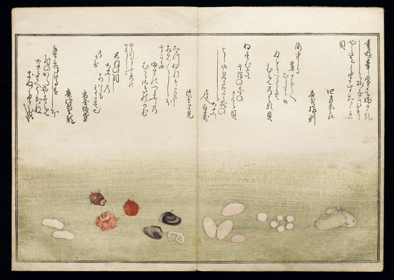 Shiohi no tsuto (هدايا من Ebb Tide) ، والمعروفة باسم Shell Book ، 1789 (طباعة لوح خشبي ملون) بواسطة كيتاجاوا أوتامارو