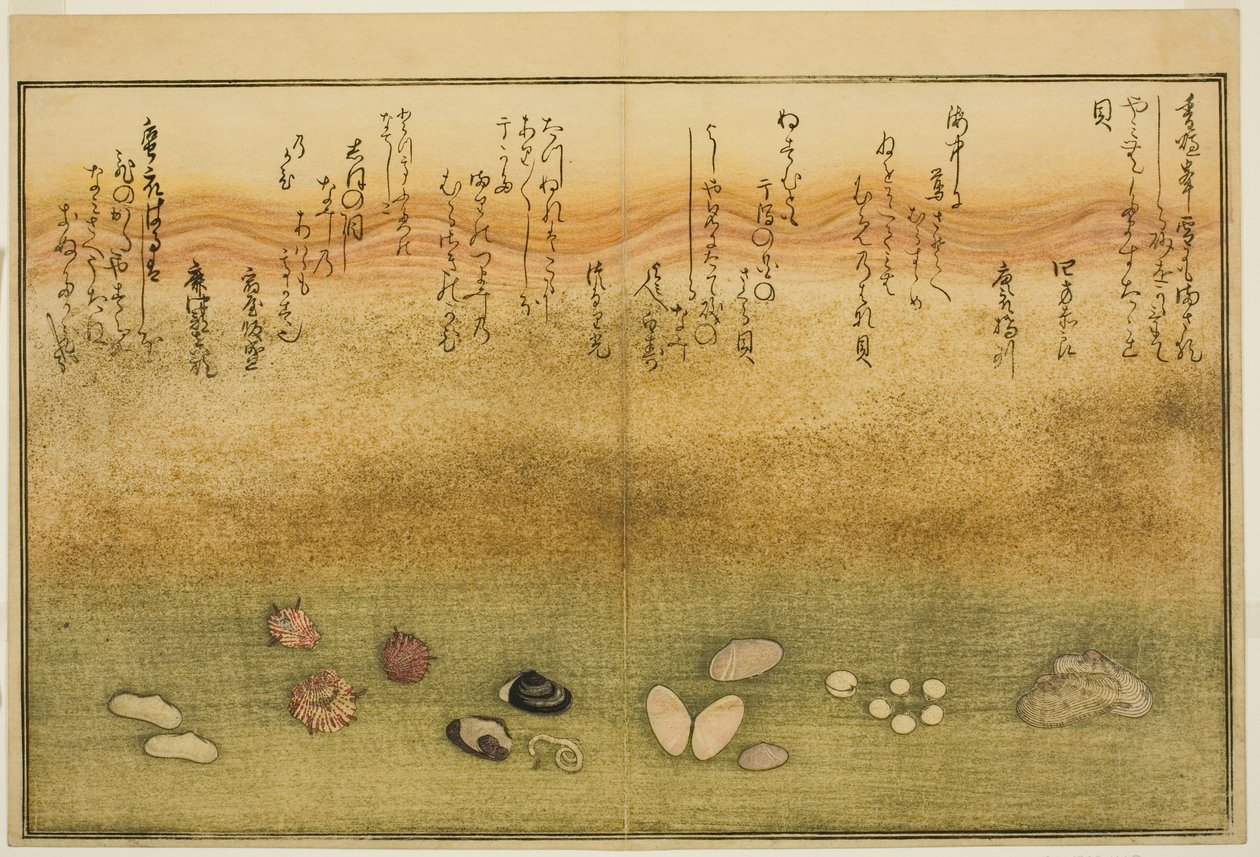 Sudare-gai و hana-gai و sakura-gai و mumeno-gai و nadeshiko-gai و kinuta-gai ، من الكتاب المصور "هدايا من إيب تايد (Shiohi no tsuto)" بواسطة كيتاجاوا أوتامارو