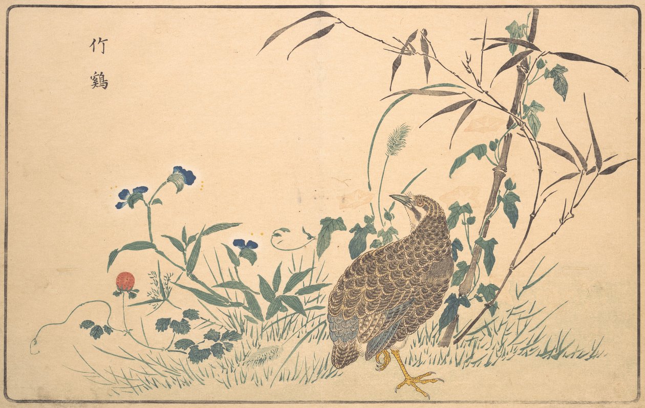 Zhuji ، 1789. بواسطة كيتاو ماسايوشي
