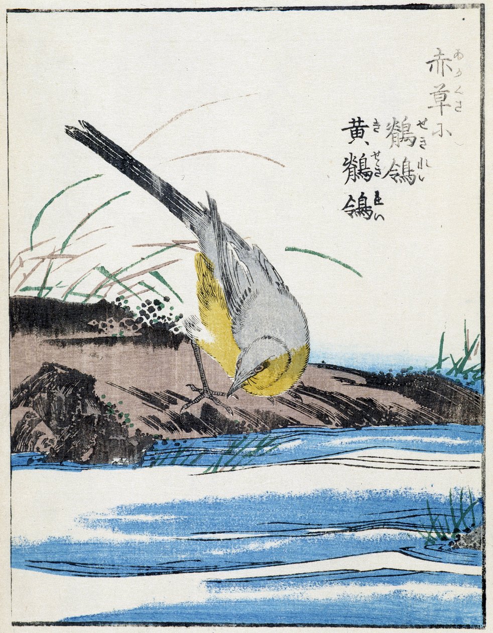 Bird. Japanese drawing by Kitao Kosuisai بواسطة Kitao Shigemasa