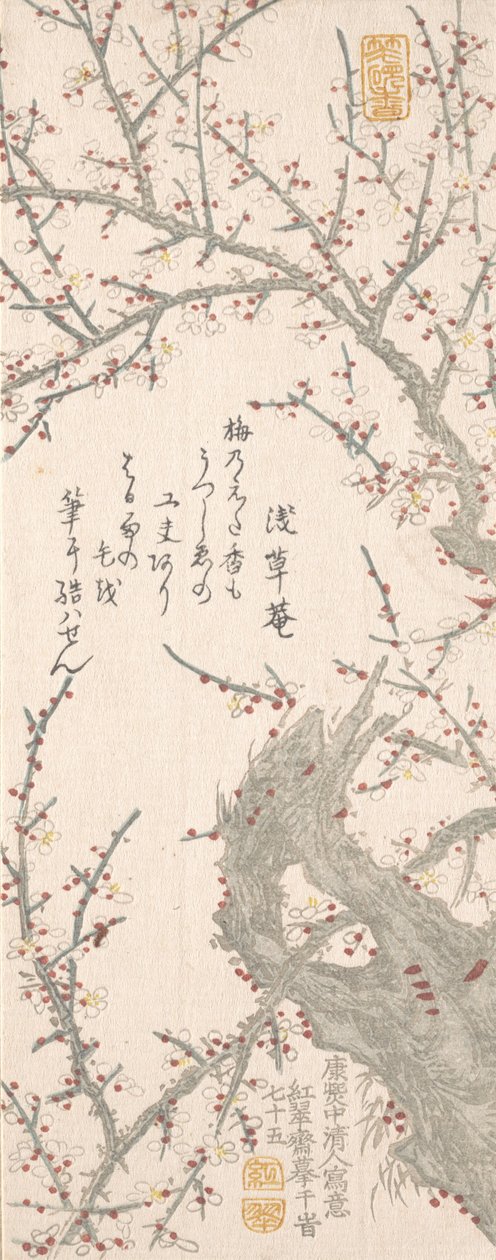 شجرة البرقوق في بلوسوم ، ١٨١٣. بواسطة Kitao Shigemasa