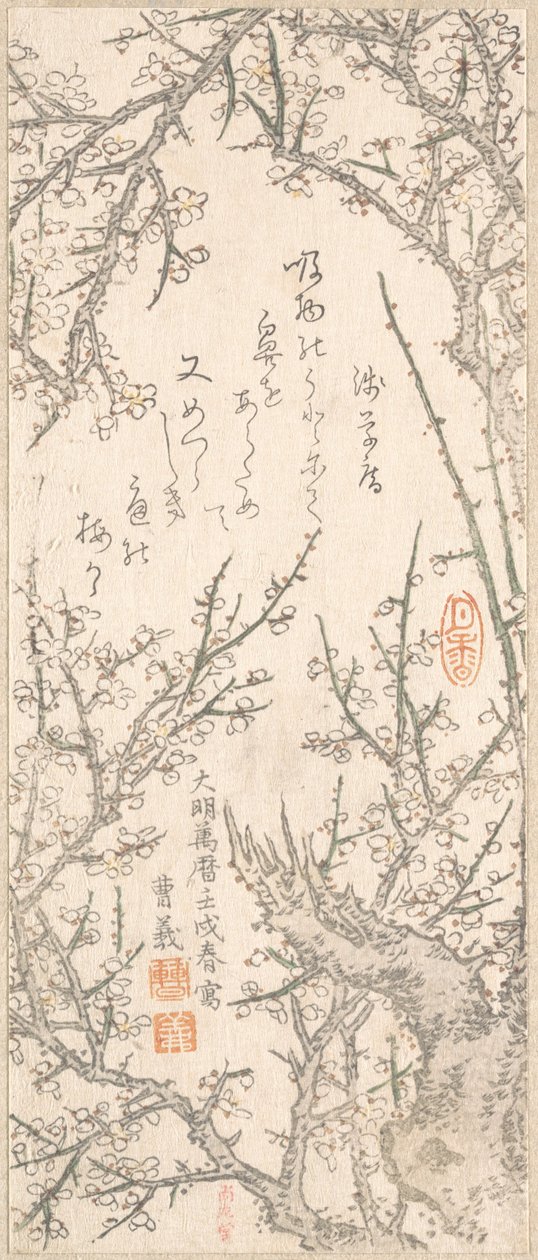 شجرة البرقوق في بلوسوم ، 1813. بواسطة Kitao Shigemasa