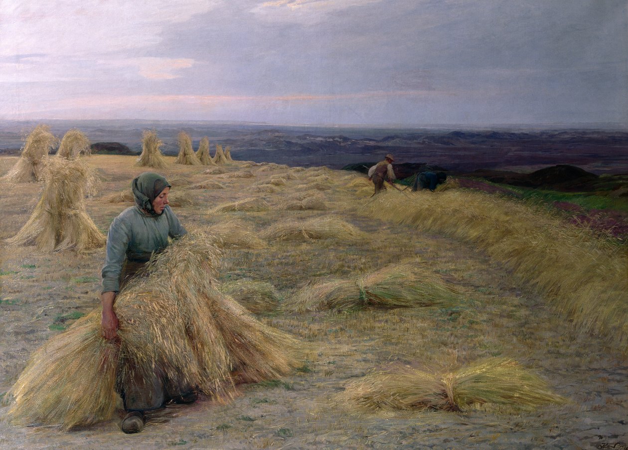 The Harvesters ، Svinklov-Viildemosen ، Jutland بواسطة كنود لارسن