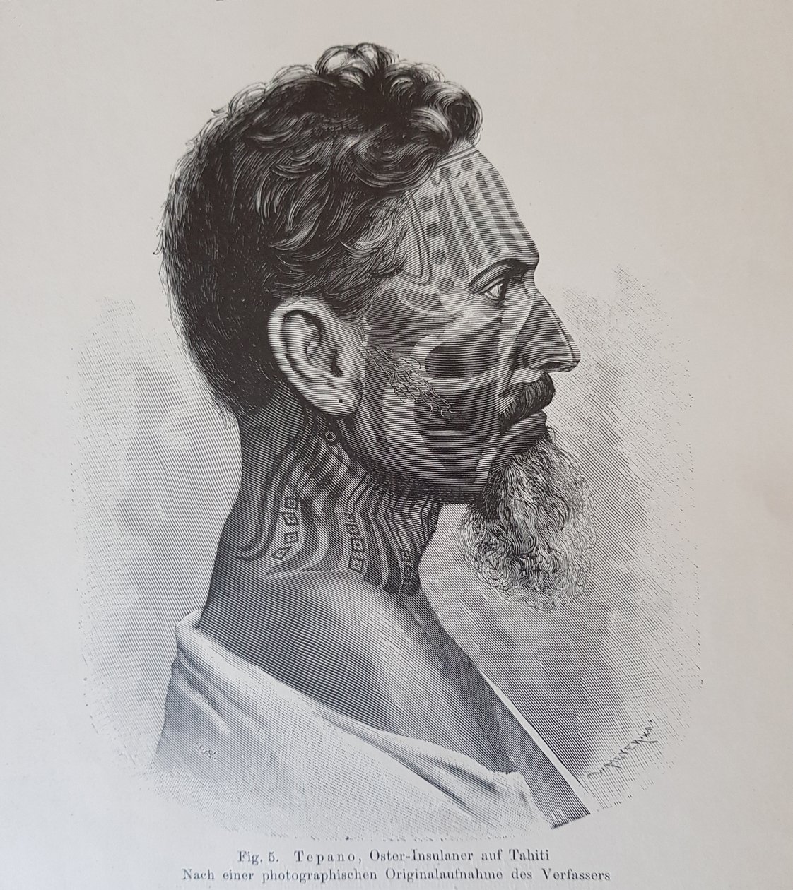 خوان تيبانو ، رسم توضيحي من "على وشم سكان جزيرة عيد الفصح" ، بقلم هجالمار ستولب ، 1899 بواسطة كنوت هجالمار ستولبي